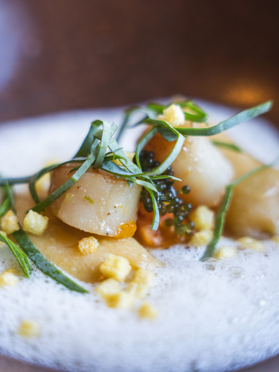 Coquille