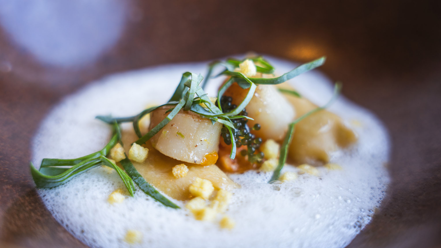 Coquille